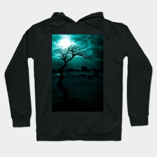 Midnight Sun Hoodie